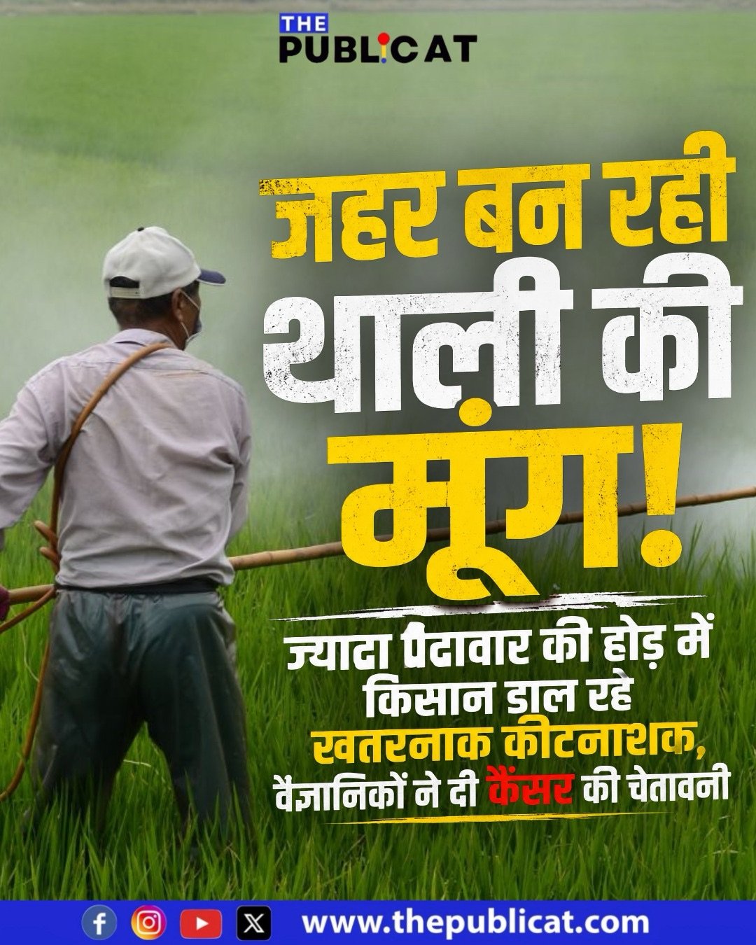 जहर बन रही थाली की मूंग! ज्यादा पैदावार की होड़ में किसान डाल रहे खतरनाक कीटनाशक, वैज्ञानिकों ने दी कैंसर की चेतावनी